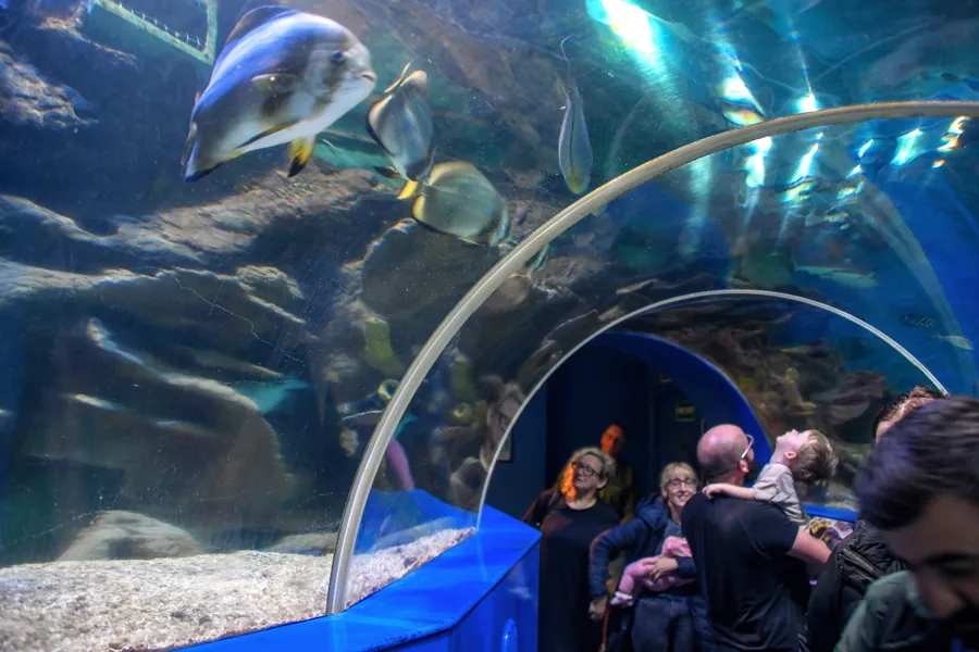 Blue Reef Aquarium Newquay